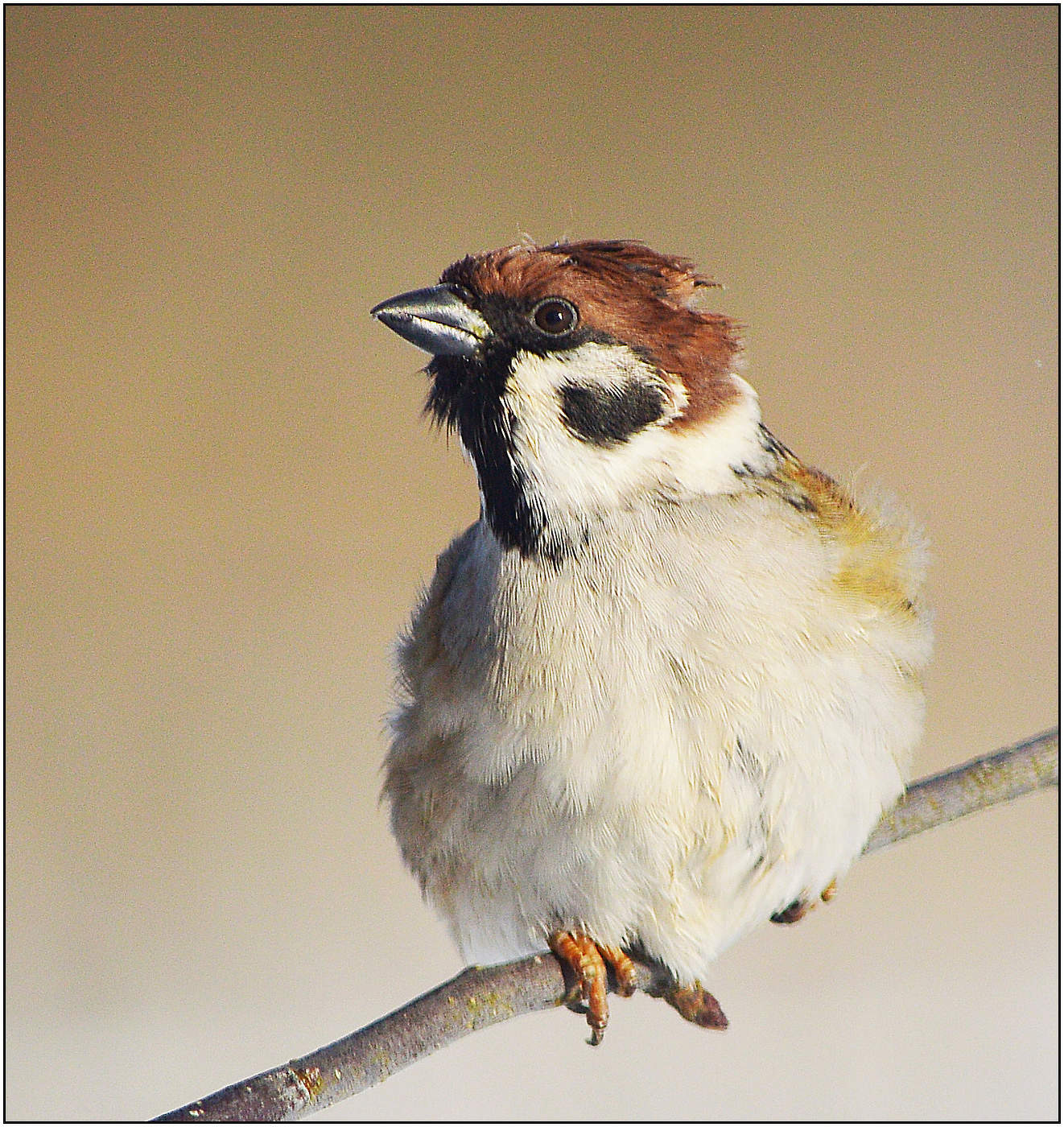 Классика портретной съемки.