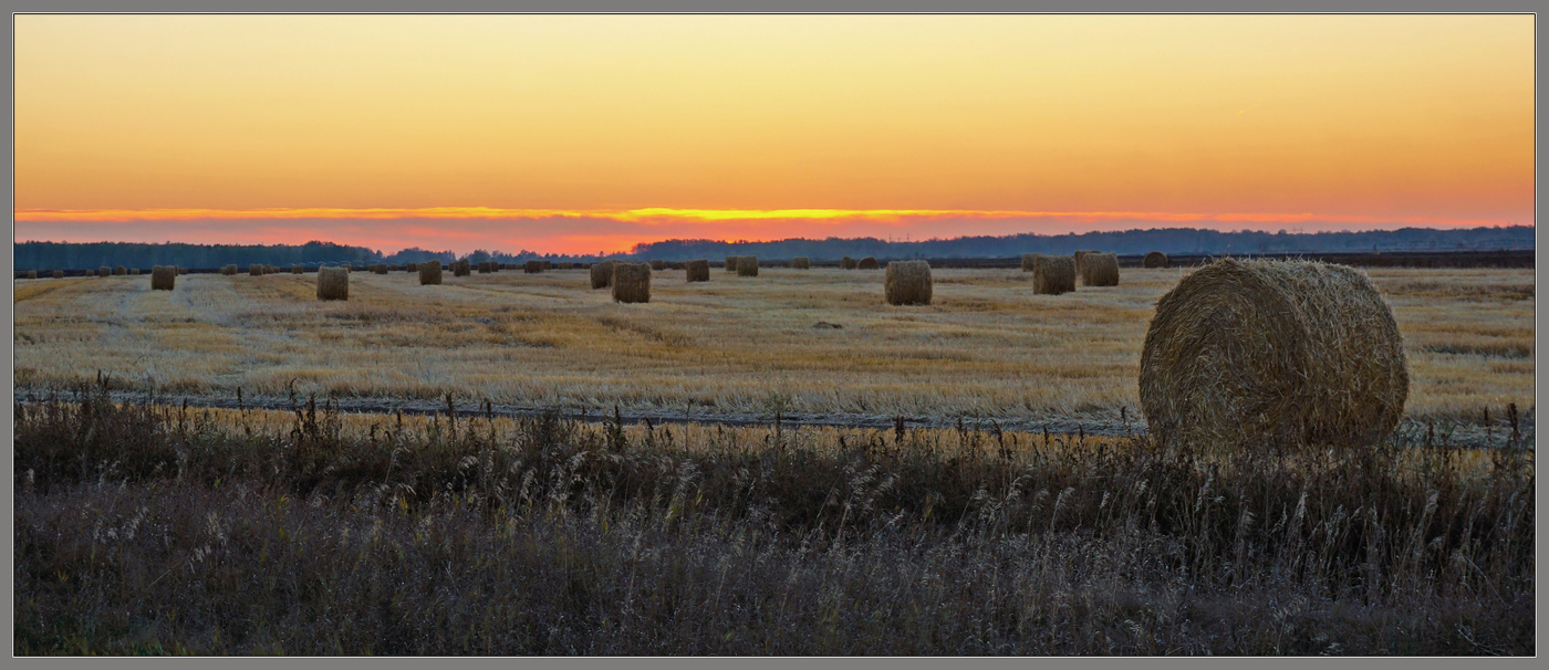 В поле осеннем