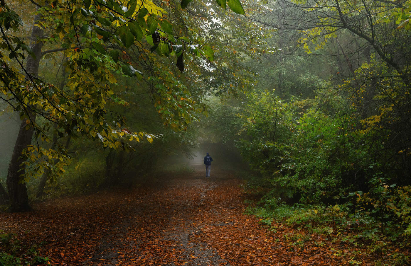 Уходящий в осень