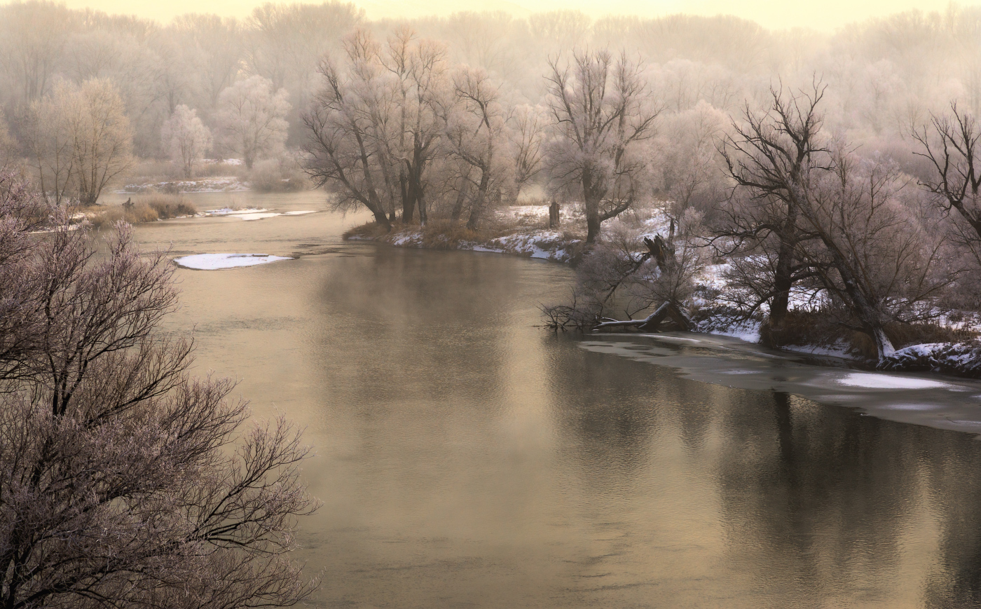 Бронзовый туман