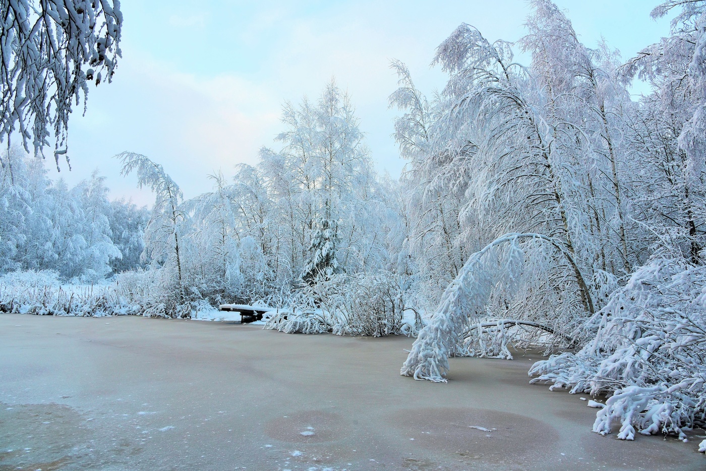 "Деревья в серебре склонились в изумленном реверансе..."