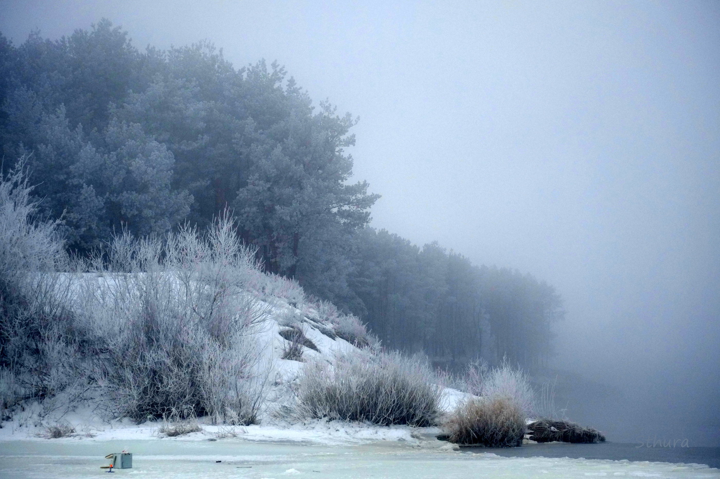 Левый берег Оки.