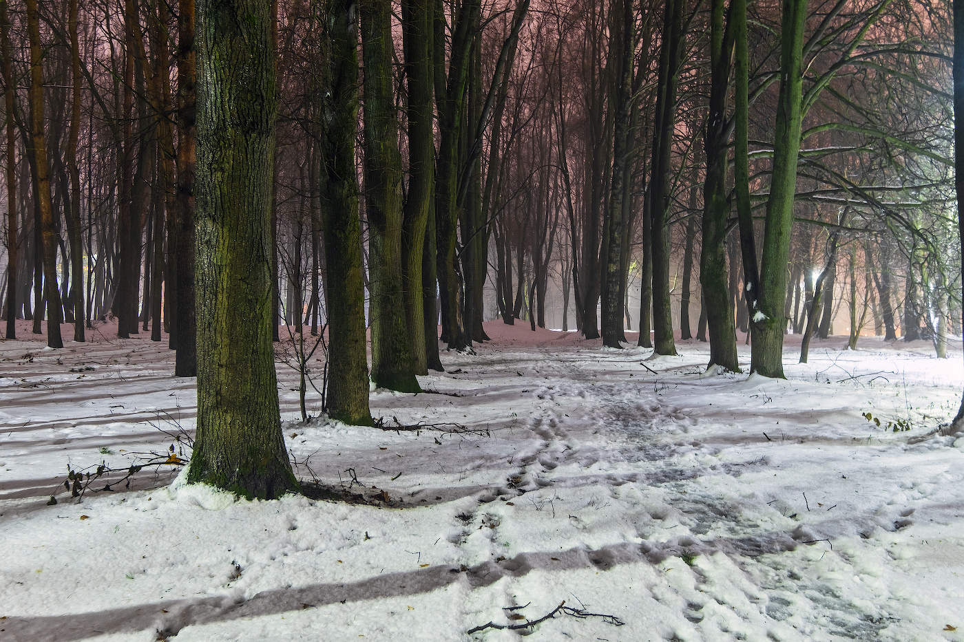 Ноябрьская оттепель