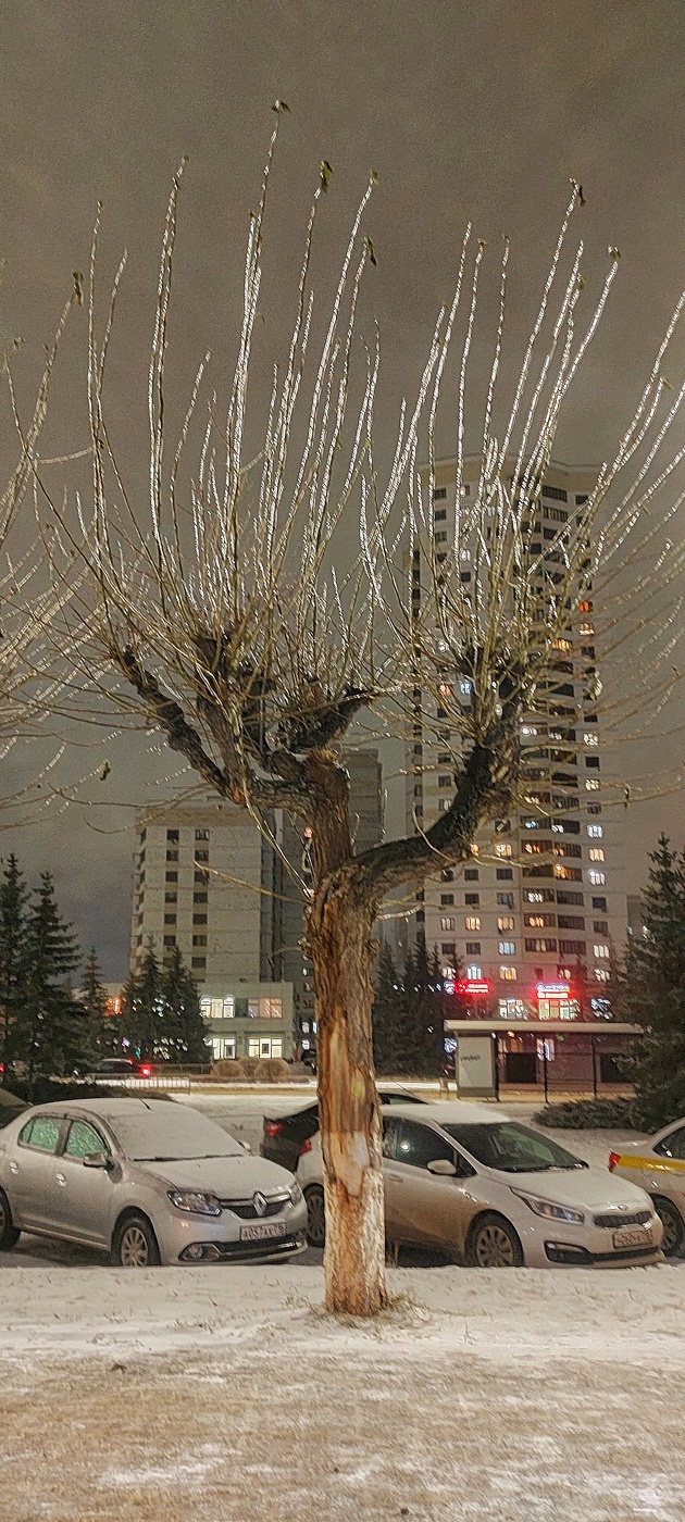 После мокрого зимнего дня.