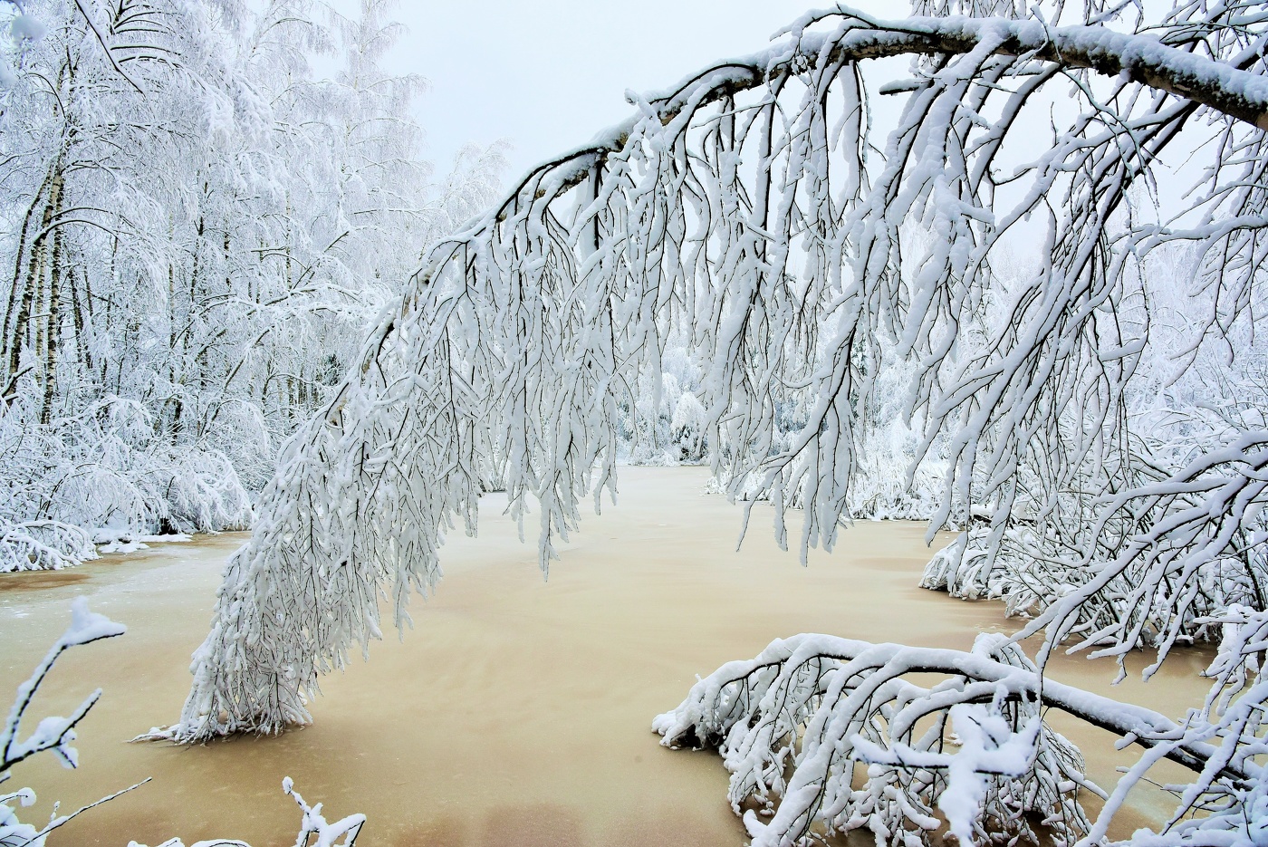 "Ах, зима, зима лихая, кто тебя так рано звал..."