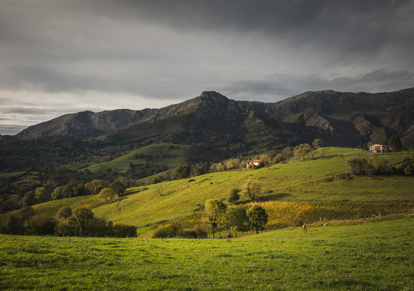 Холмы и горы