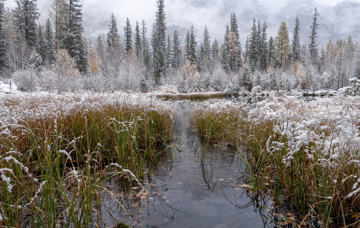 Снежная осень