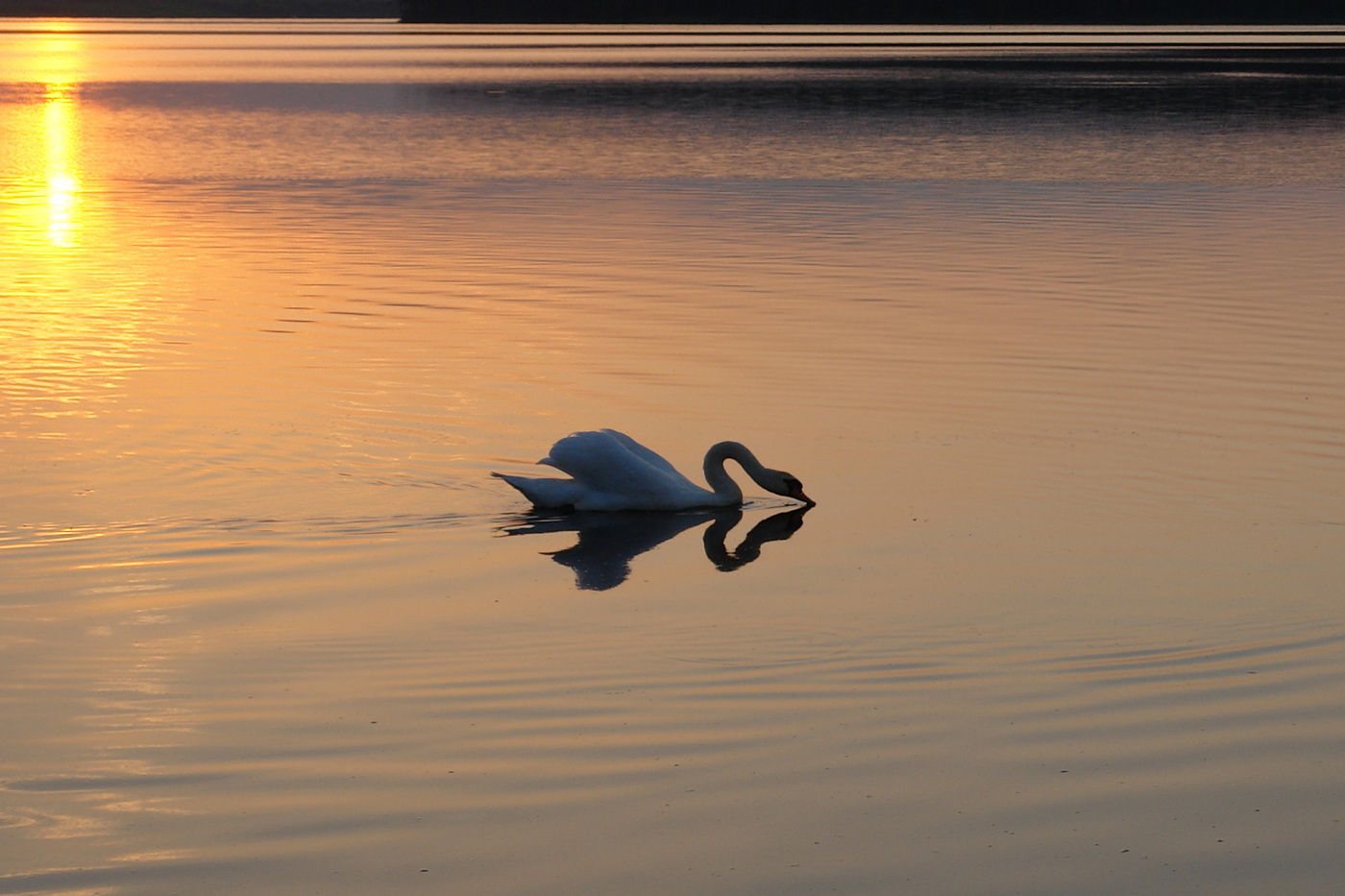 Фигурное катание