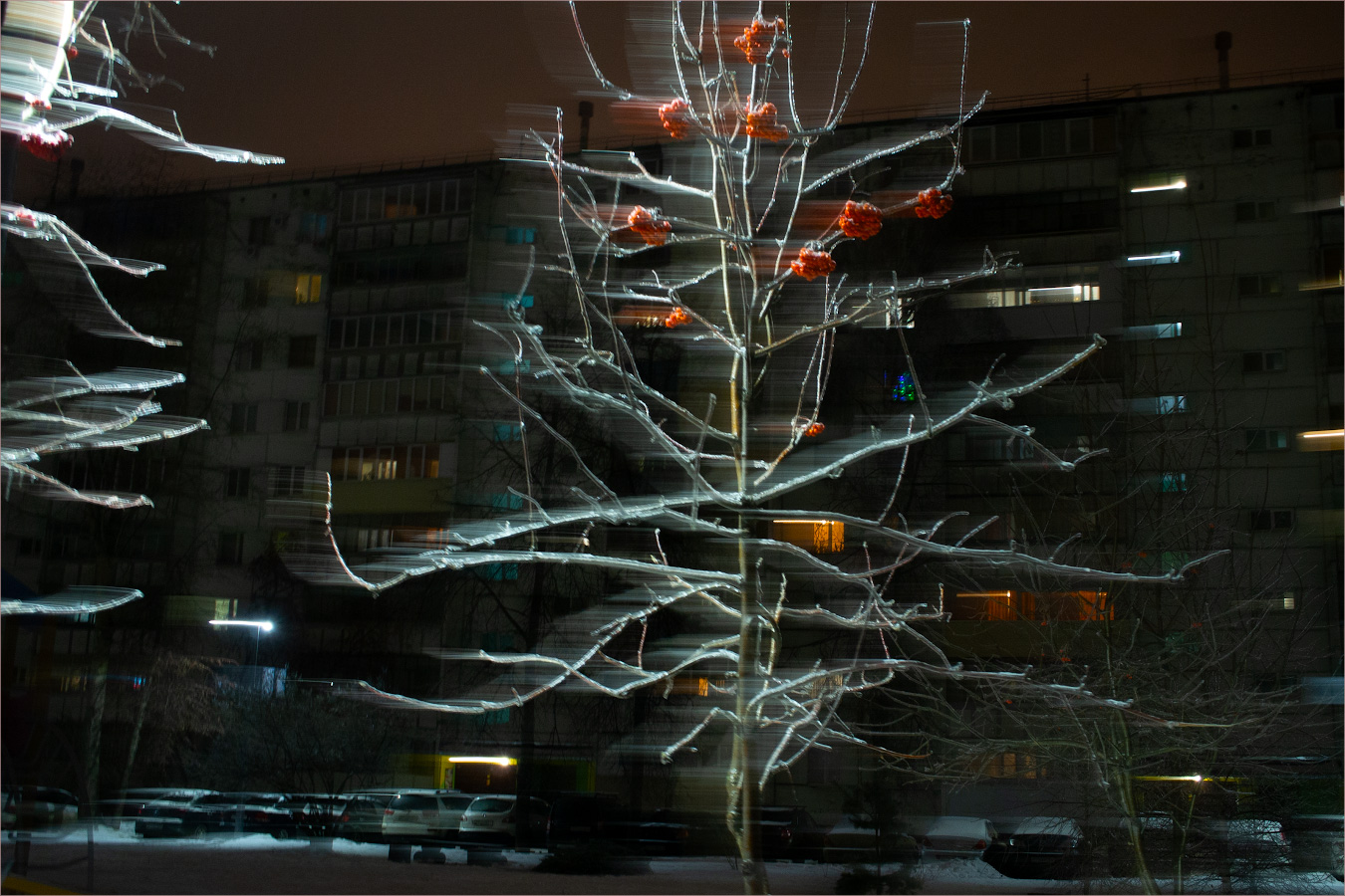 рябина на сквозняке