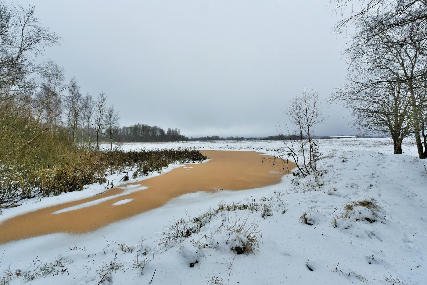 "Ноябрь потихоньку декабреет, последние дни финишной прямой..."