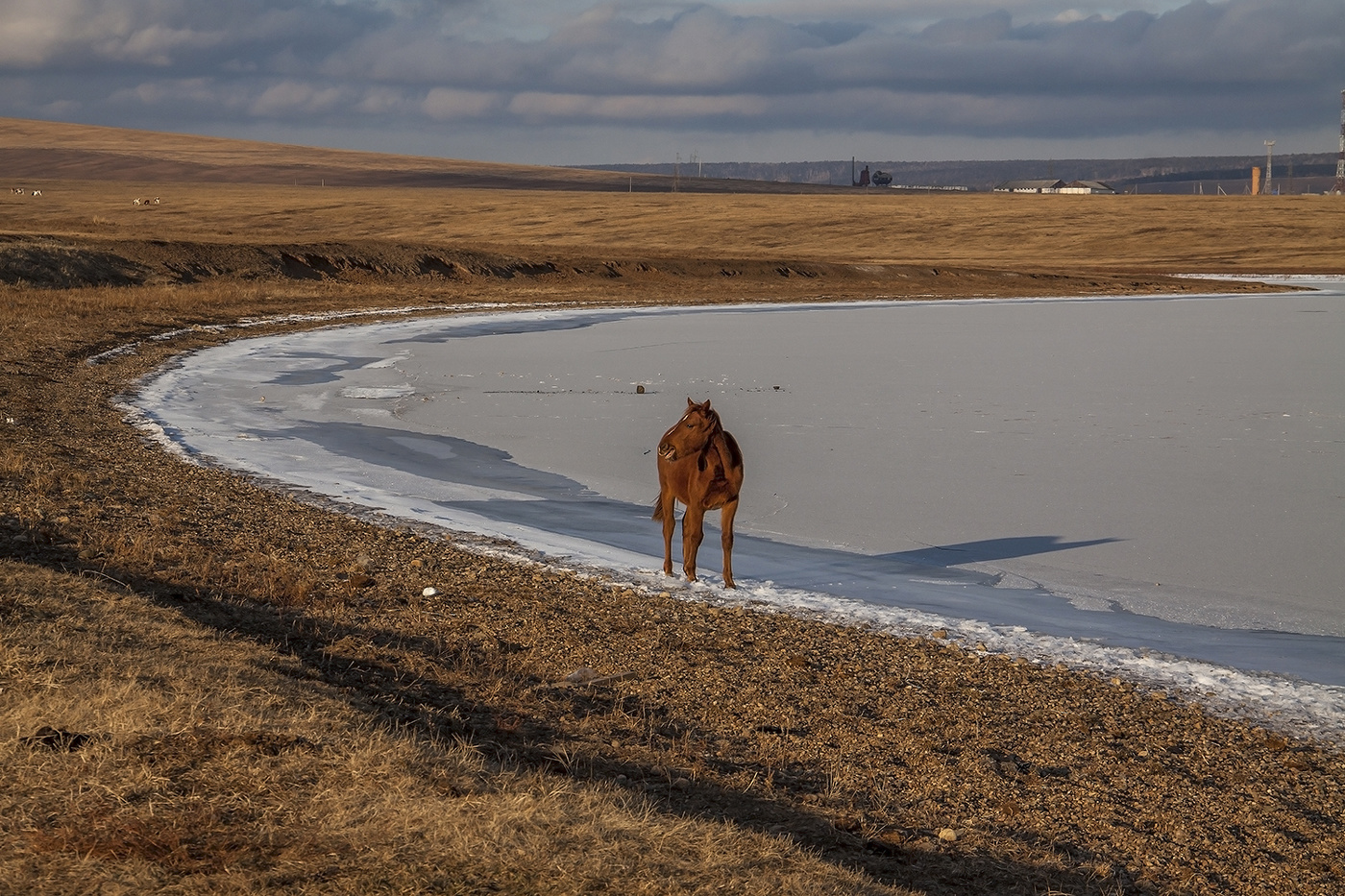Ну вы где? Я нашёл водопой!