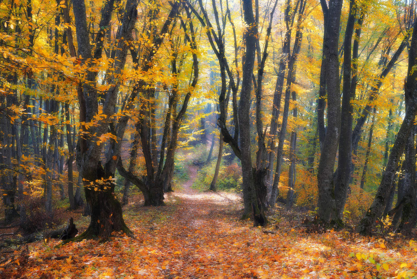 Про золотую осень