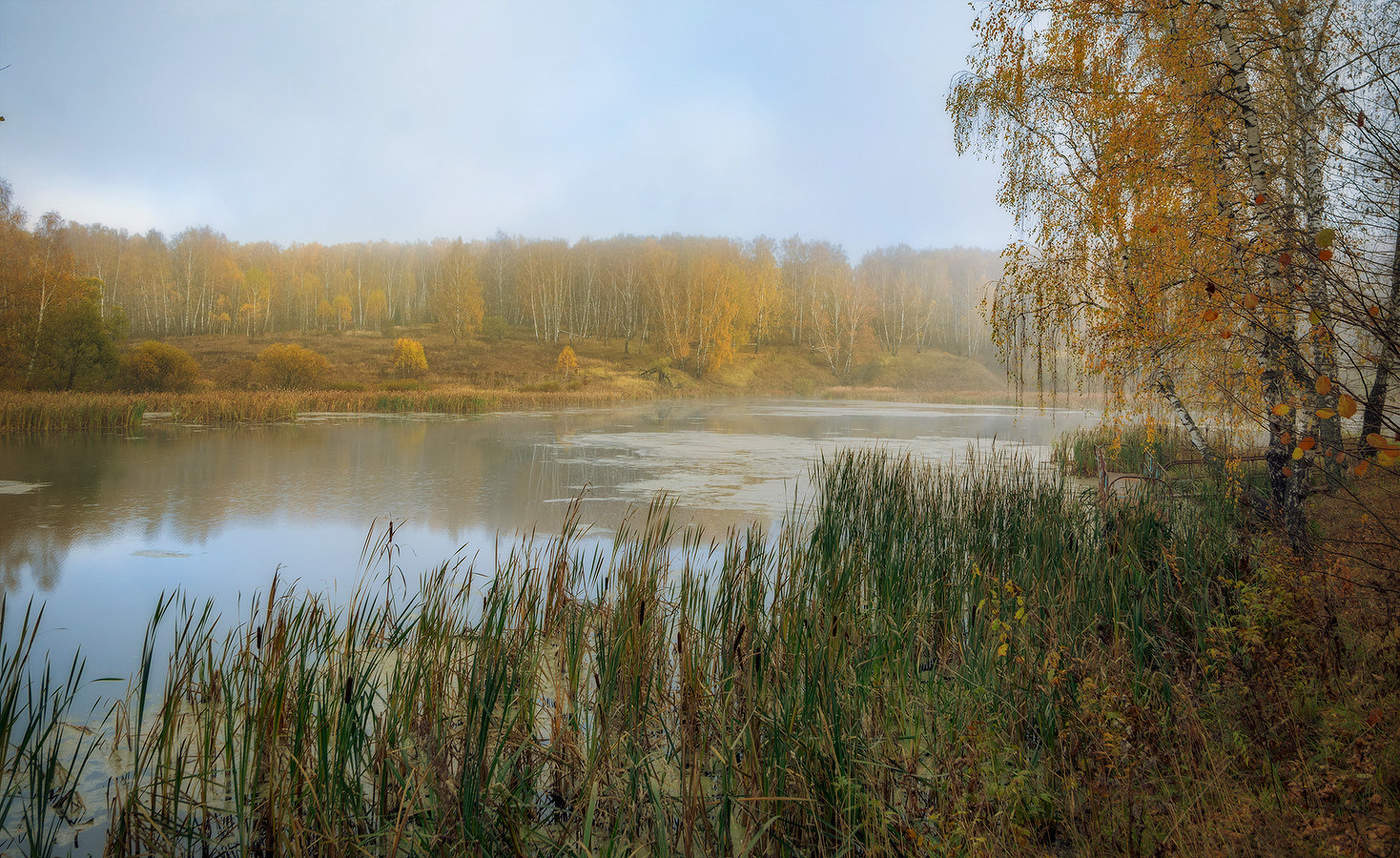 Золотая осень.