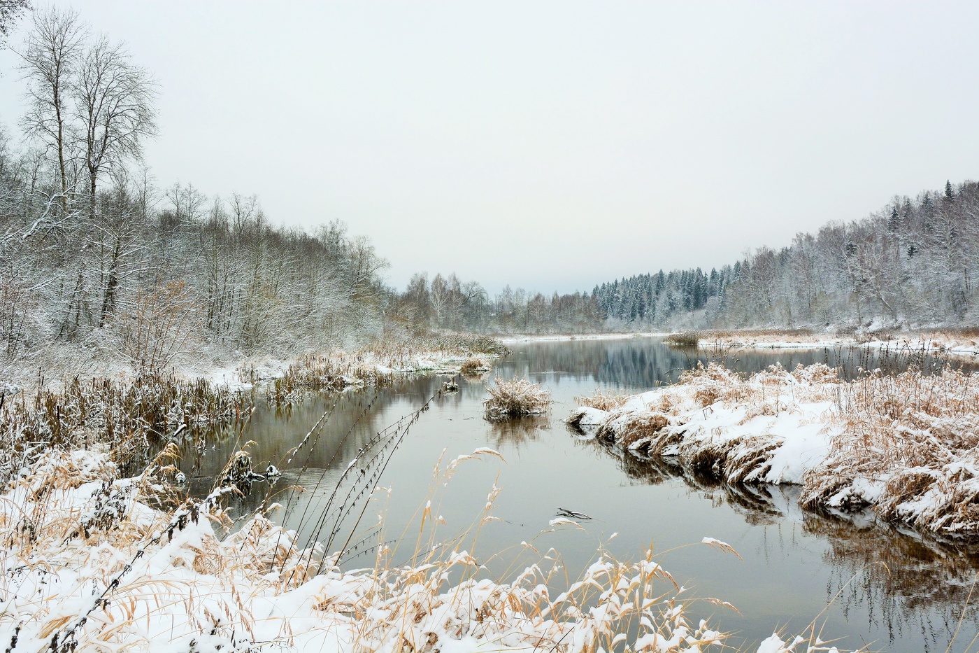 Безмятежность, в которой хочется раствориться ...