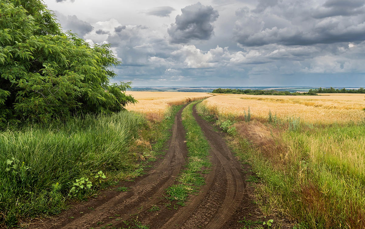 Дожди заходят