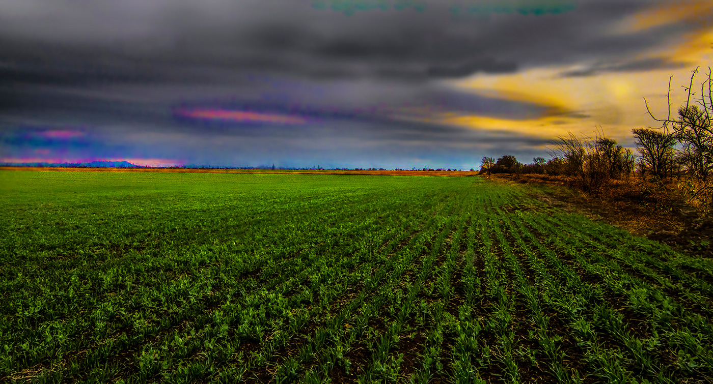 Перспектива (репост)