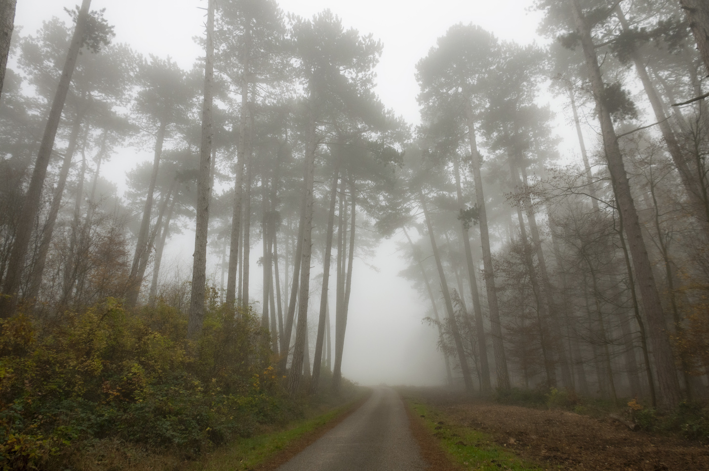 Туманная перспектива