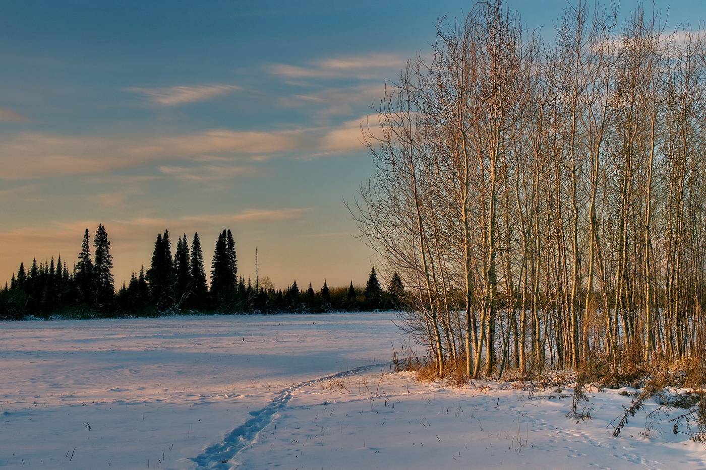 *Ноябрьским вечером.**