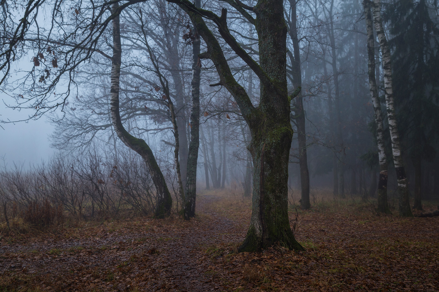 Поздняя осень