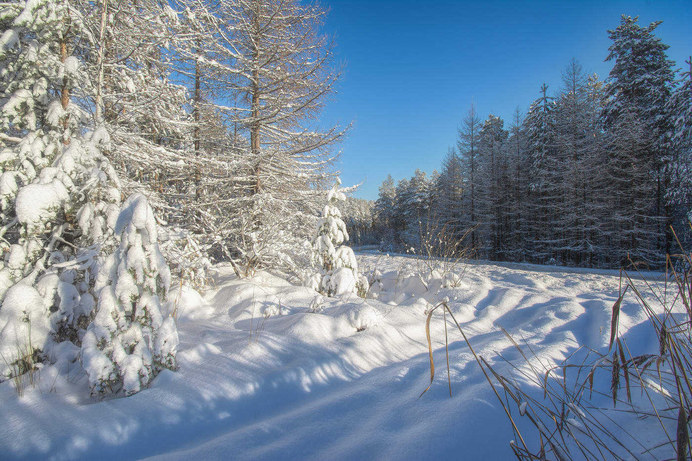 Зимняя дорога