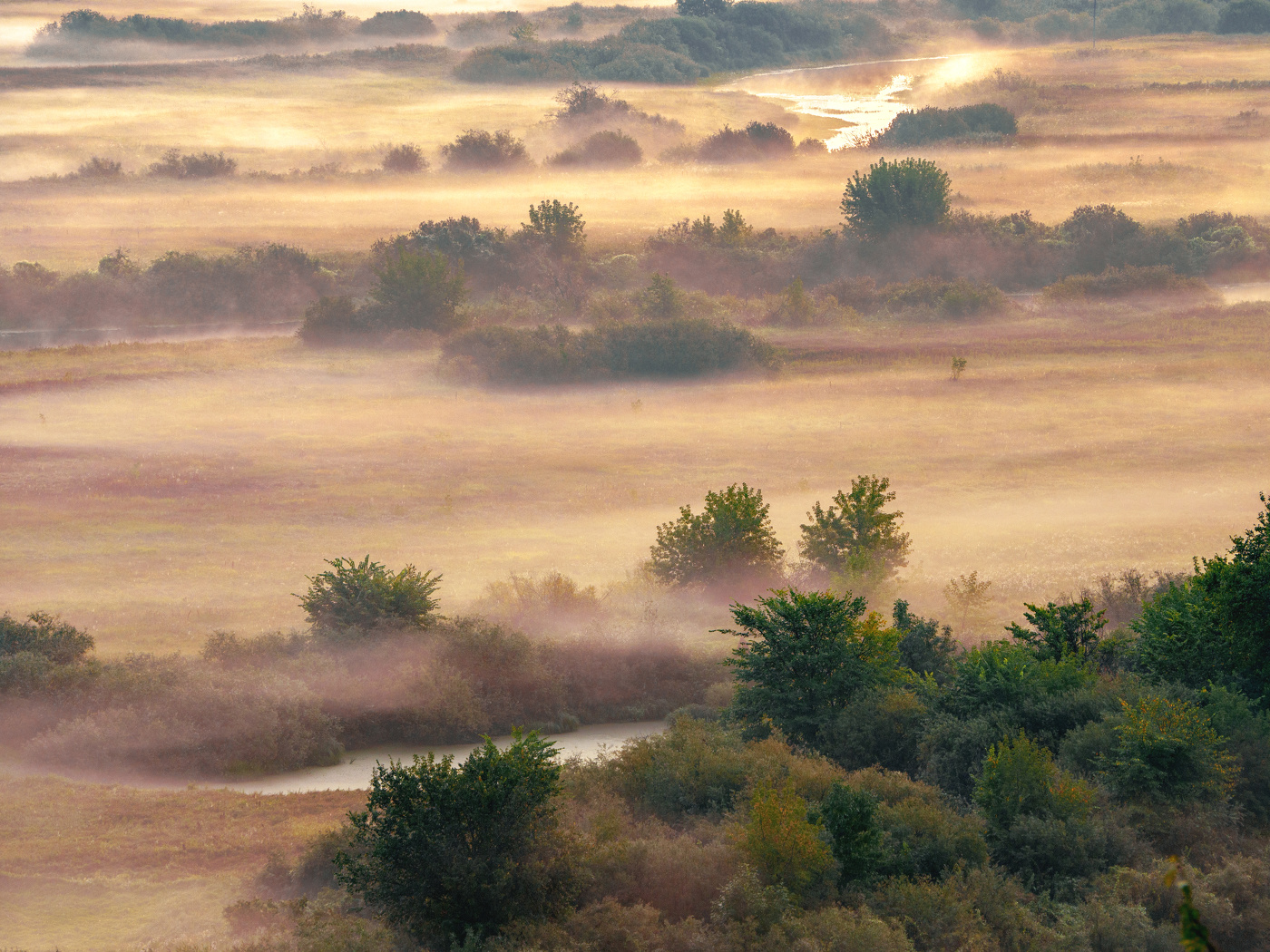 Рассветный этюд