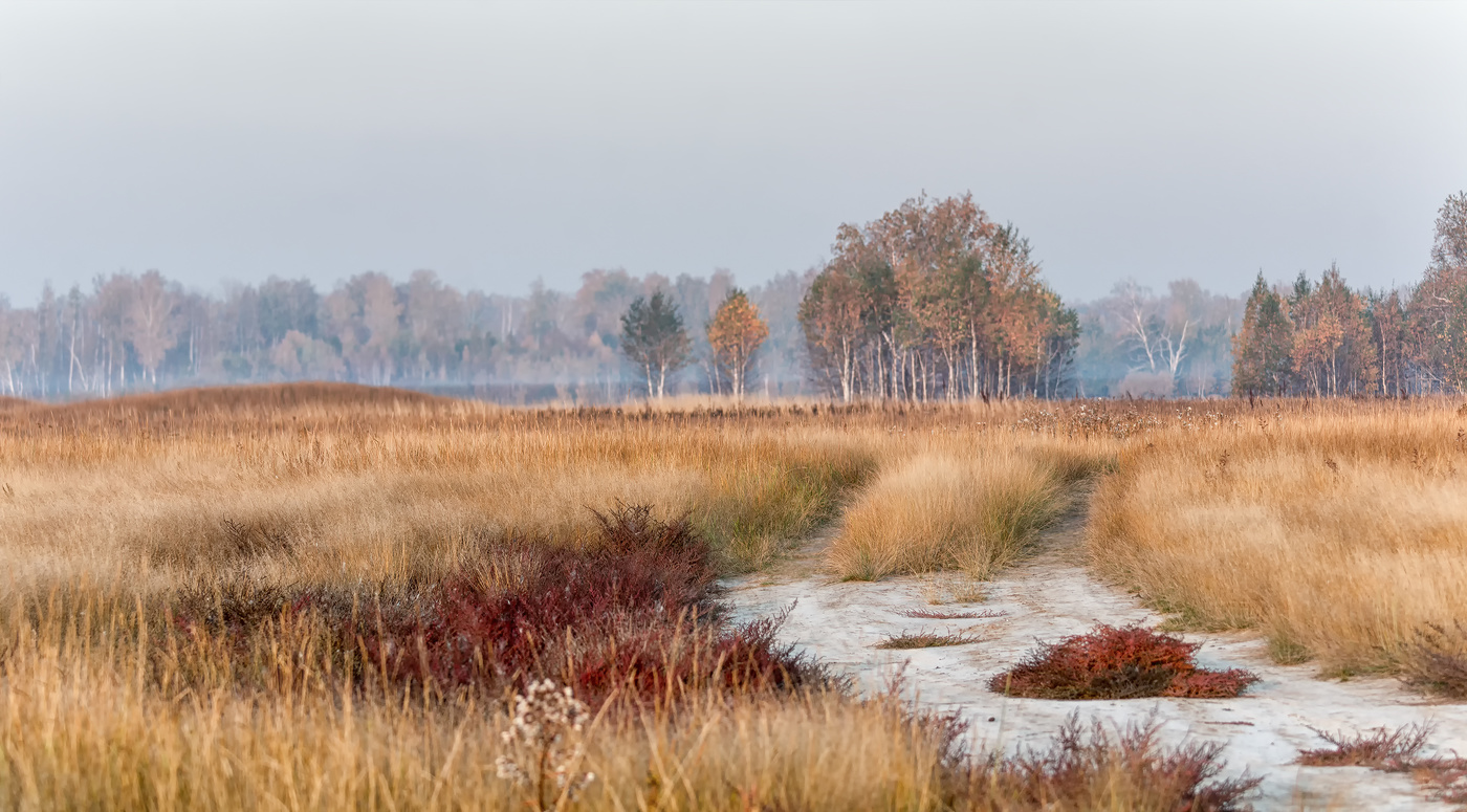 Дорога в Осень.