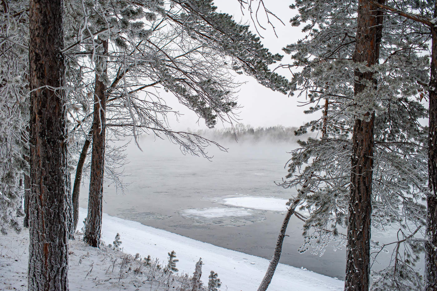 Белые берега Енисея.