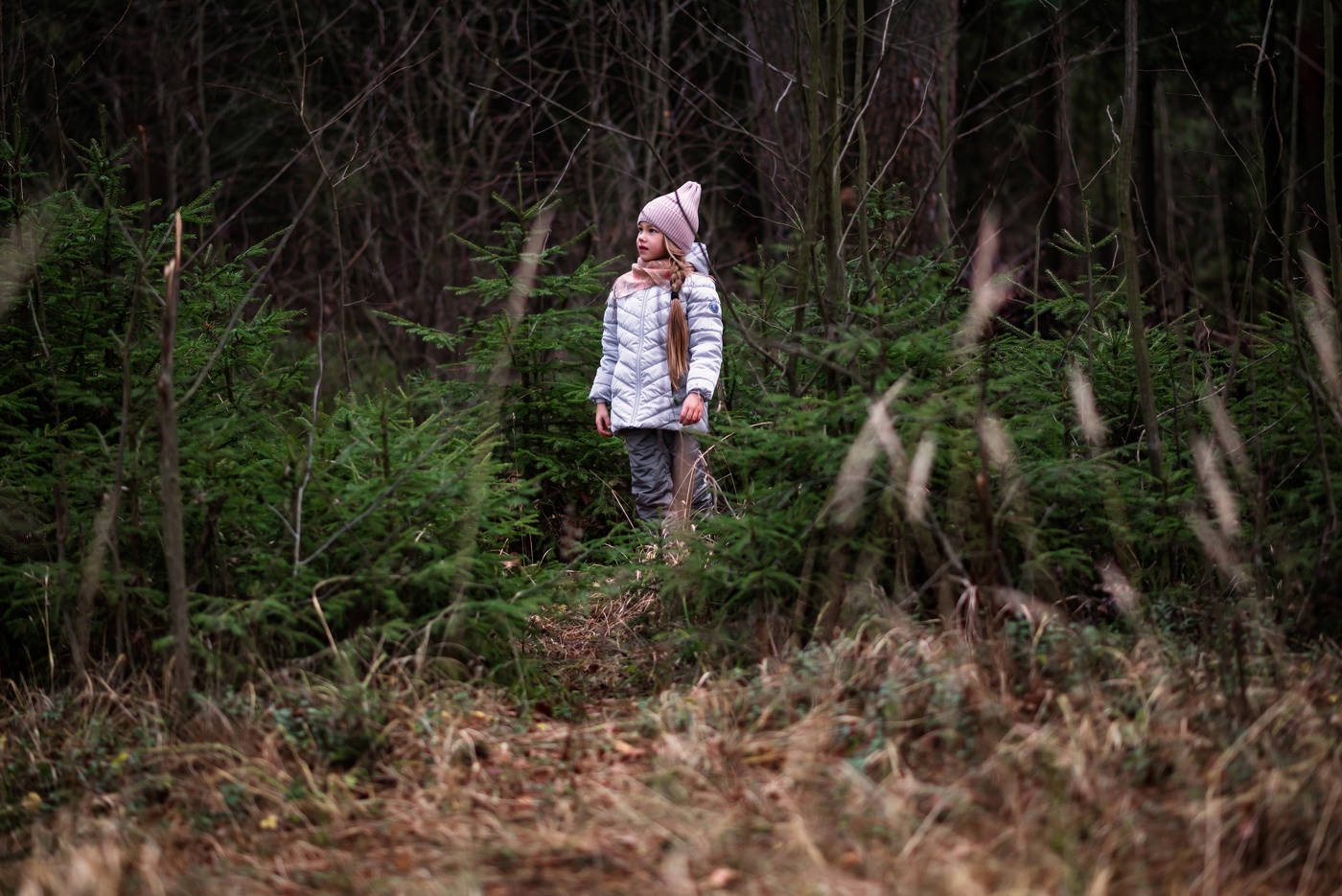 Лес поздней осенью