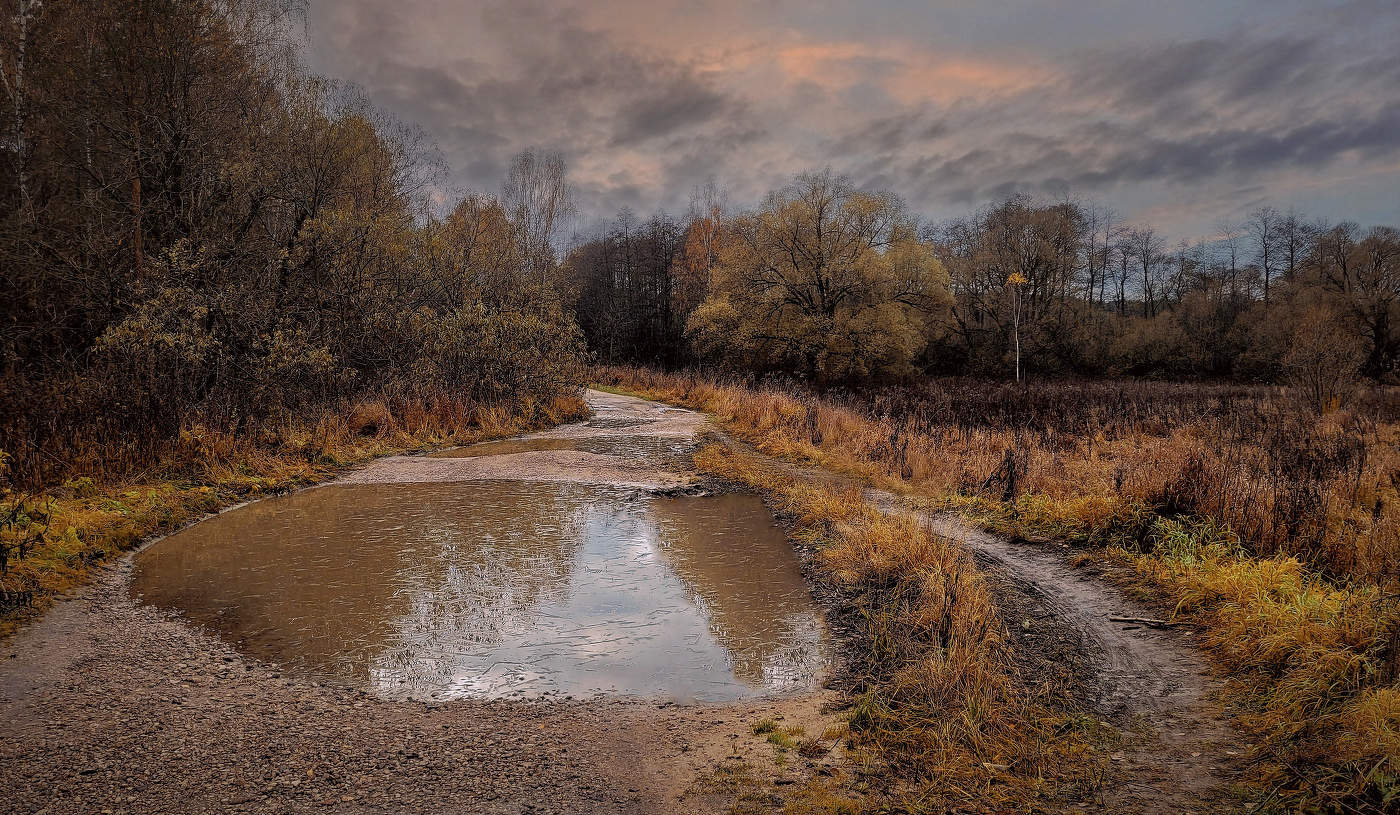 Дни поздней осени...