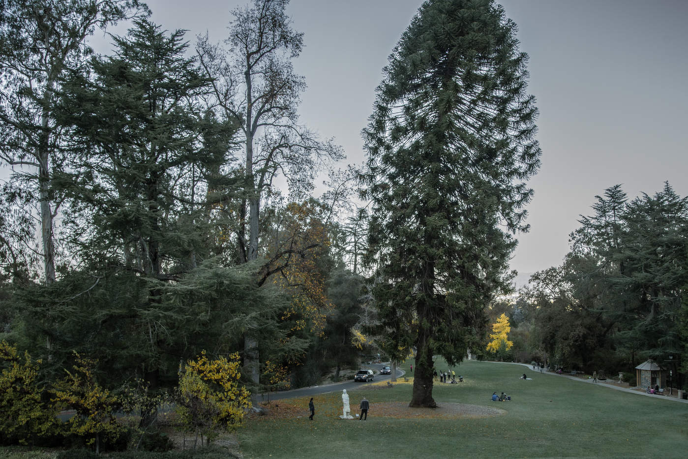 Поздний парк.