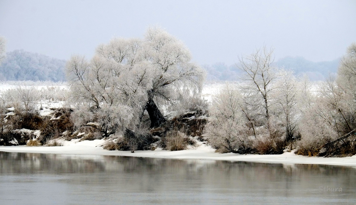 Зимний пейзаж.