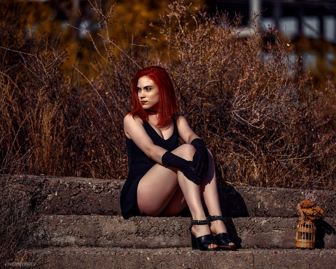 из альбома "упавшее Солнце".