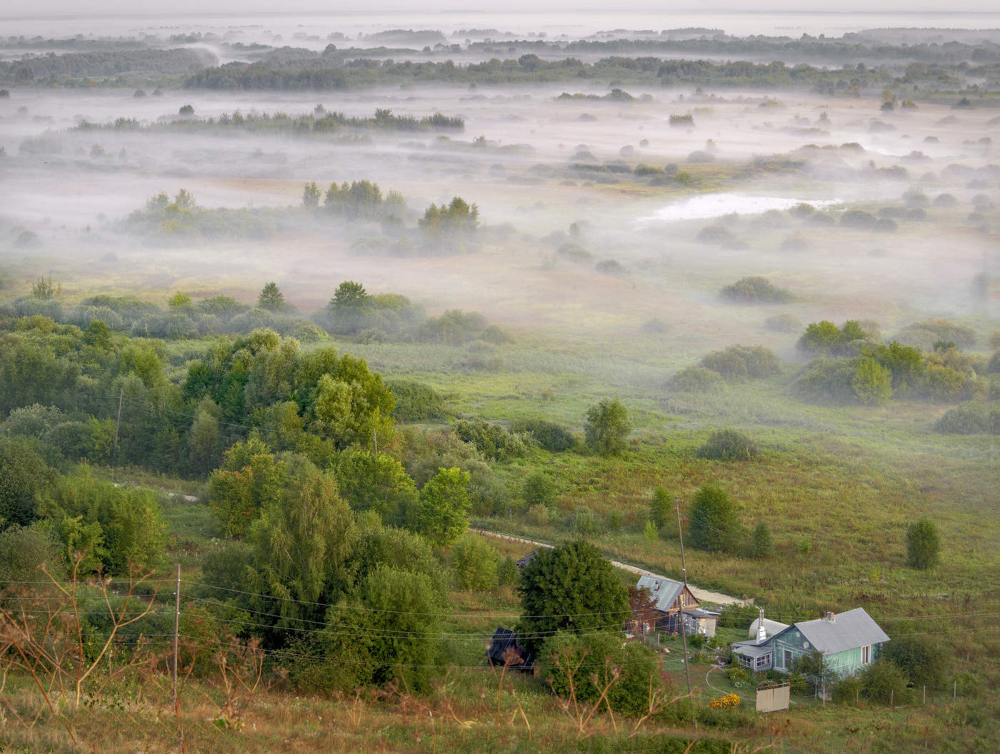 Августовские туманы