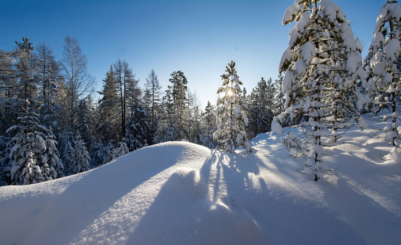 Мороз и солнце