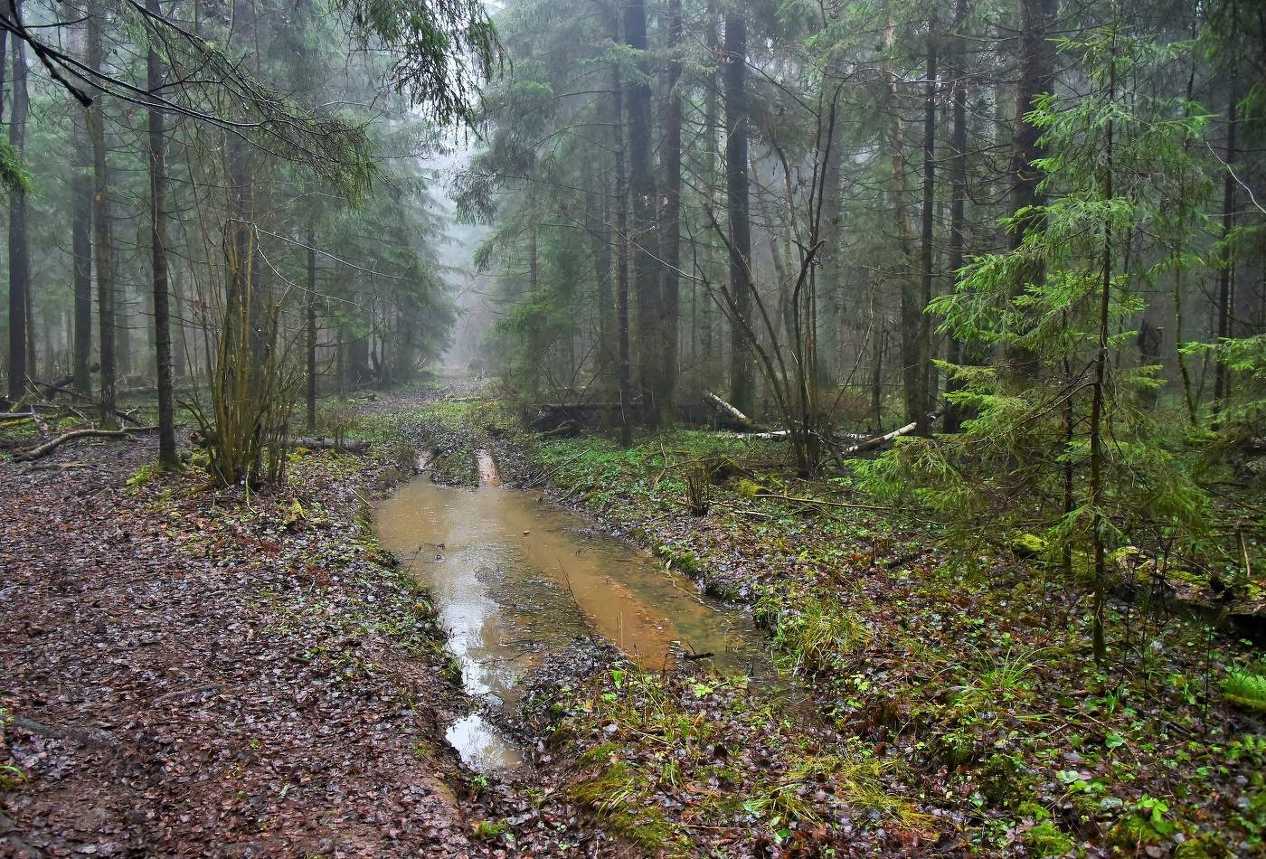 "Пойдем в эту убегающую осень ..."