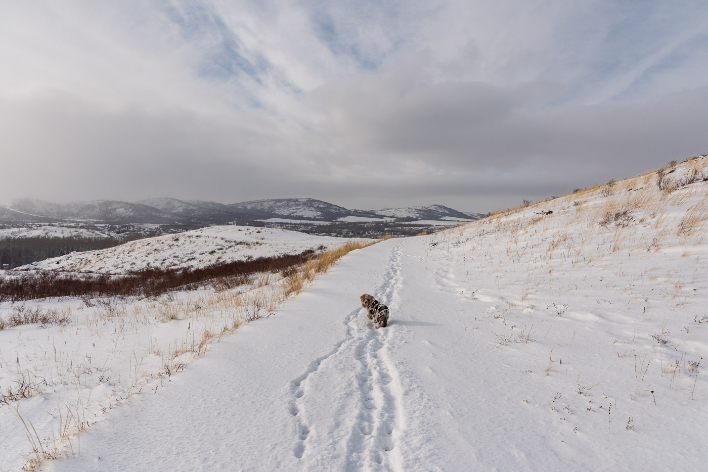 Пора домой!