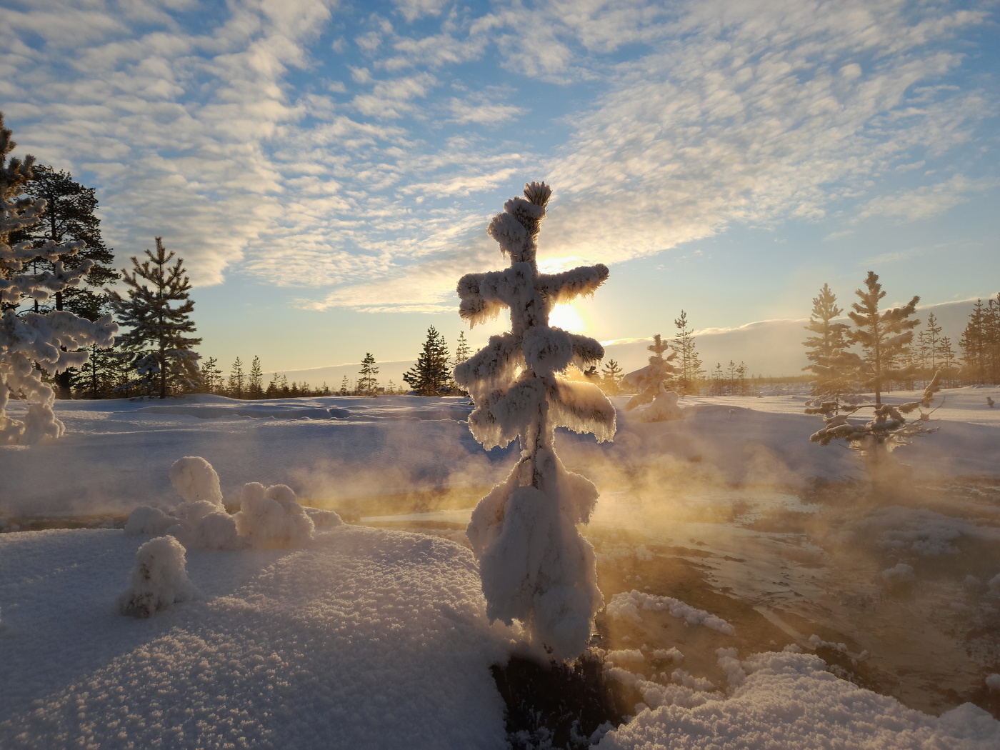 Последний день осени.