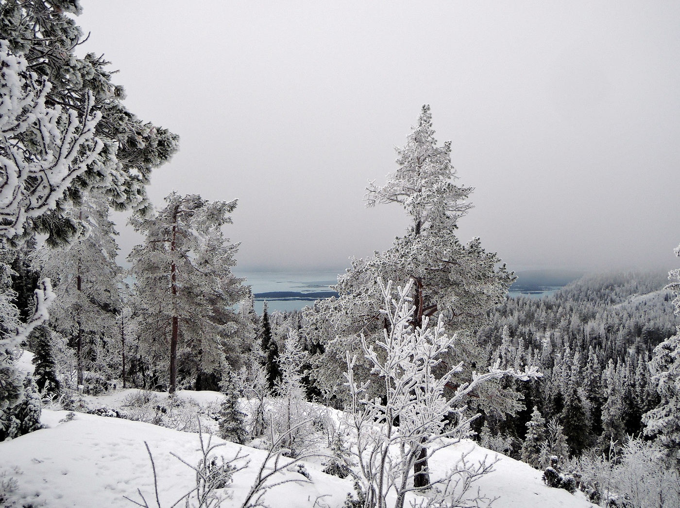 природа севера