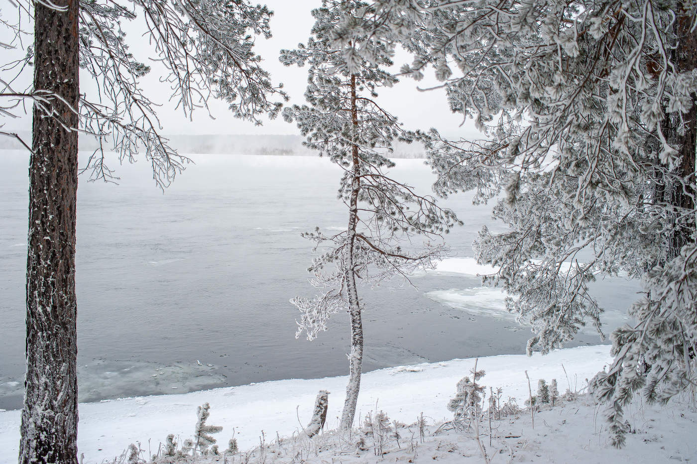 Зимняя сказка или Сибирь.