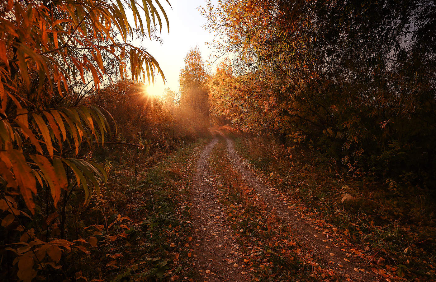 Солнечный сентябрь