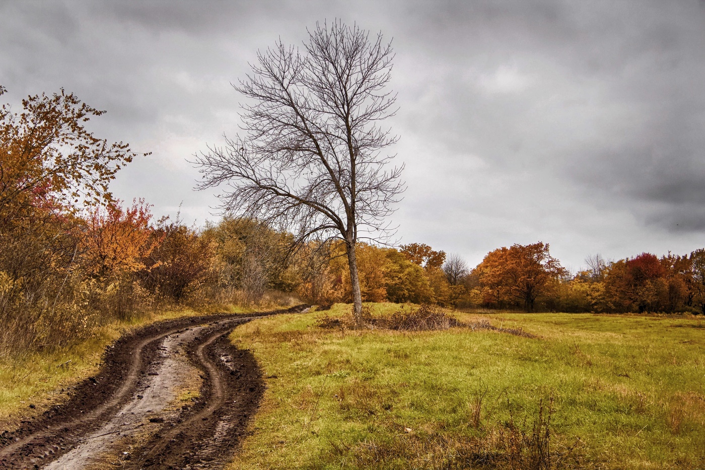 Вот и кончилась Осень
