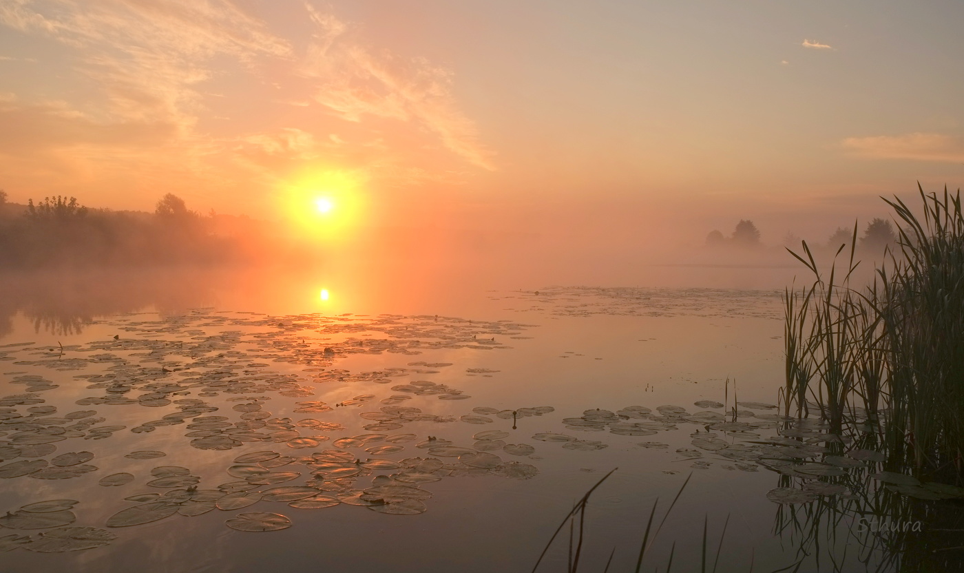 Озеро Сосновое на рассвете.