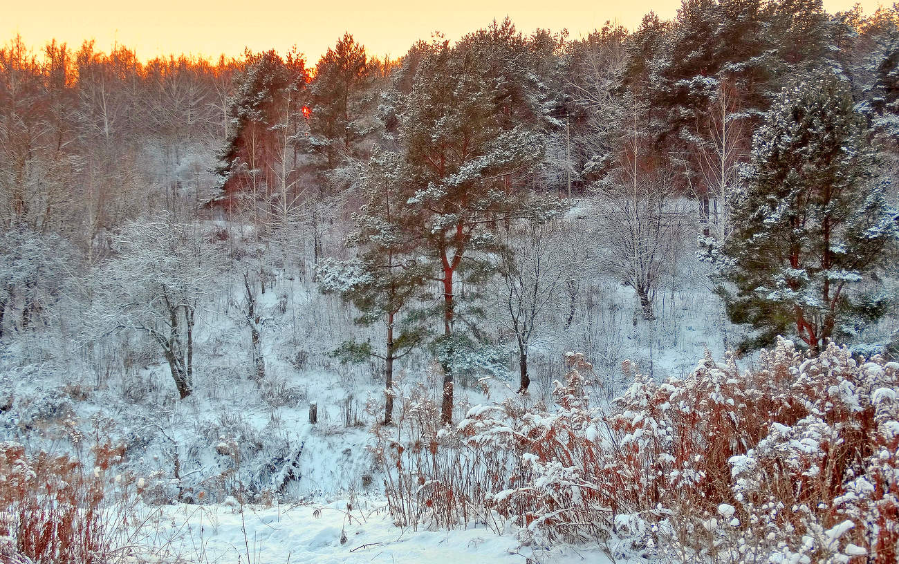 Зима пришла на рассвете