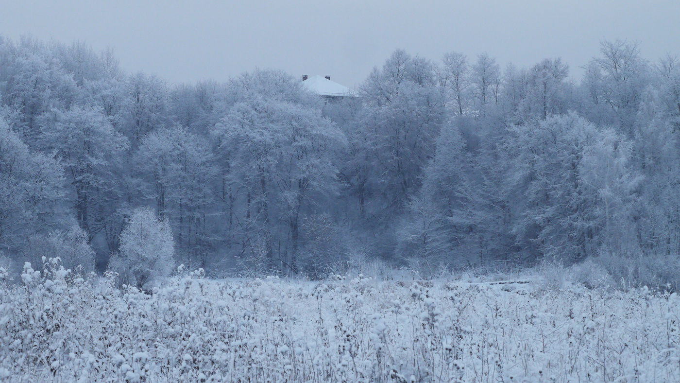 Ну вот и зима началась...