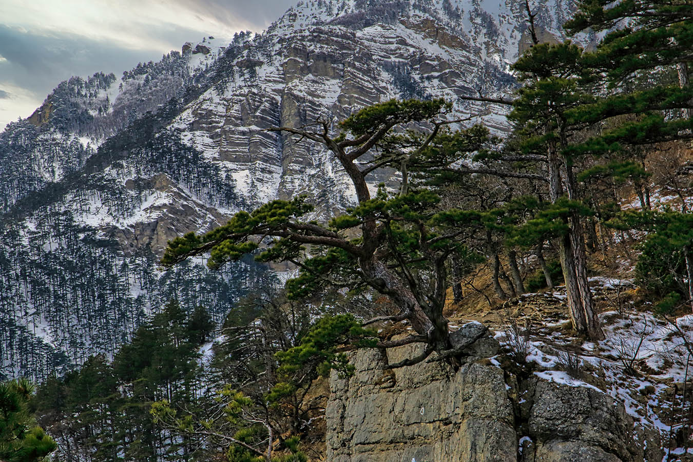 На склонах Ай-Петри