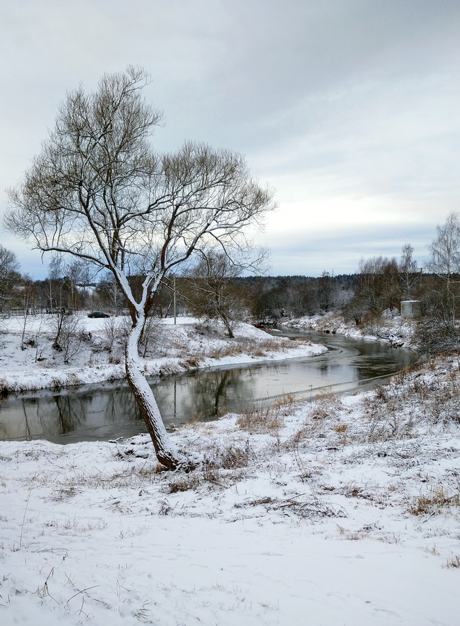 Зимние деньки.