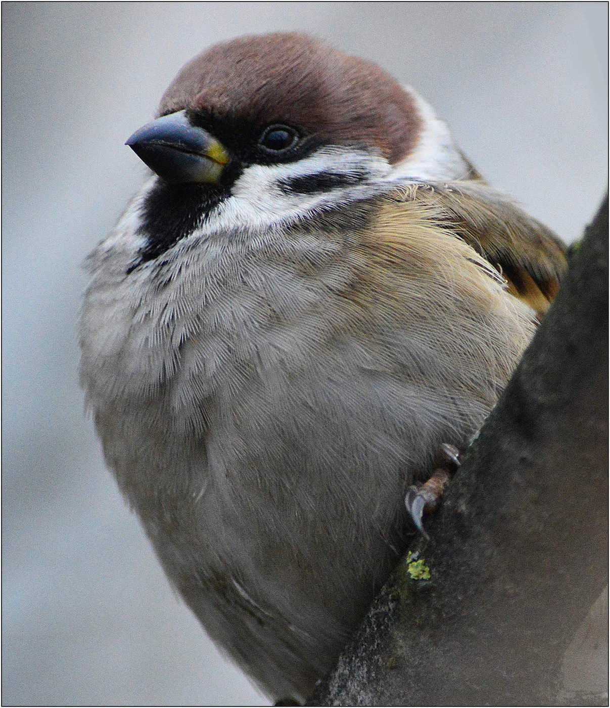 Настроение.