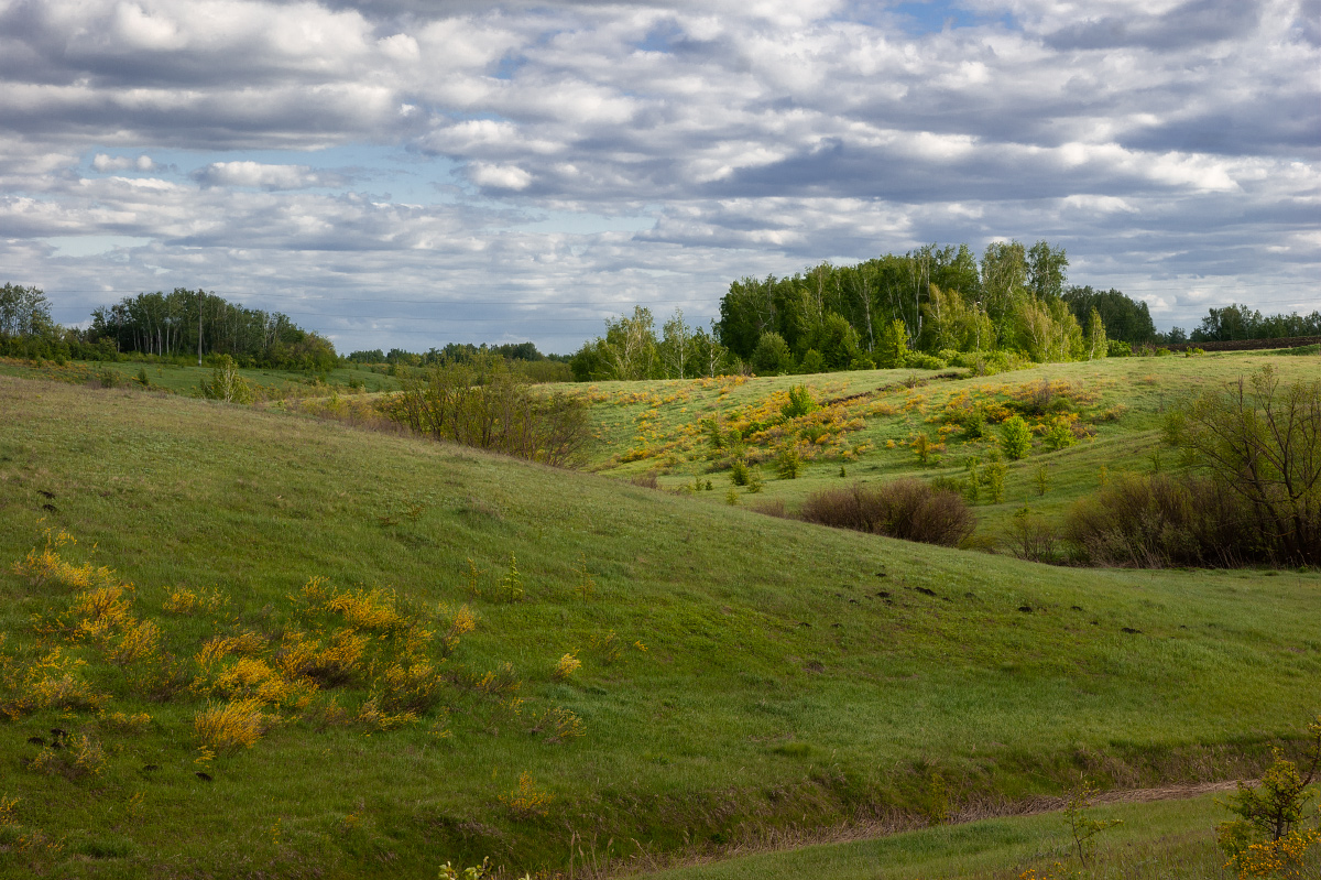 Майскими тропами