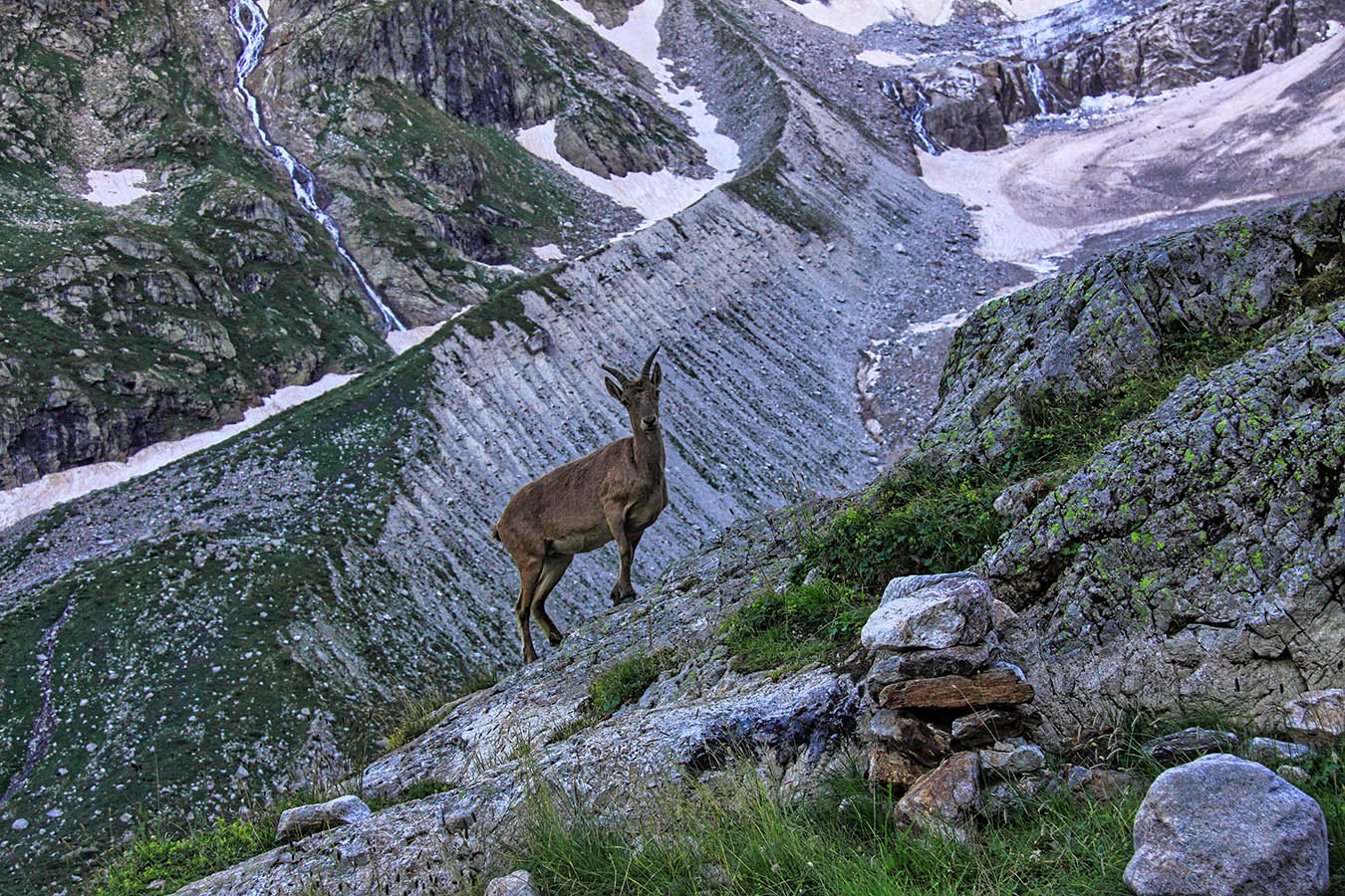 На верхних стоянках Мырды