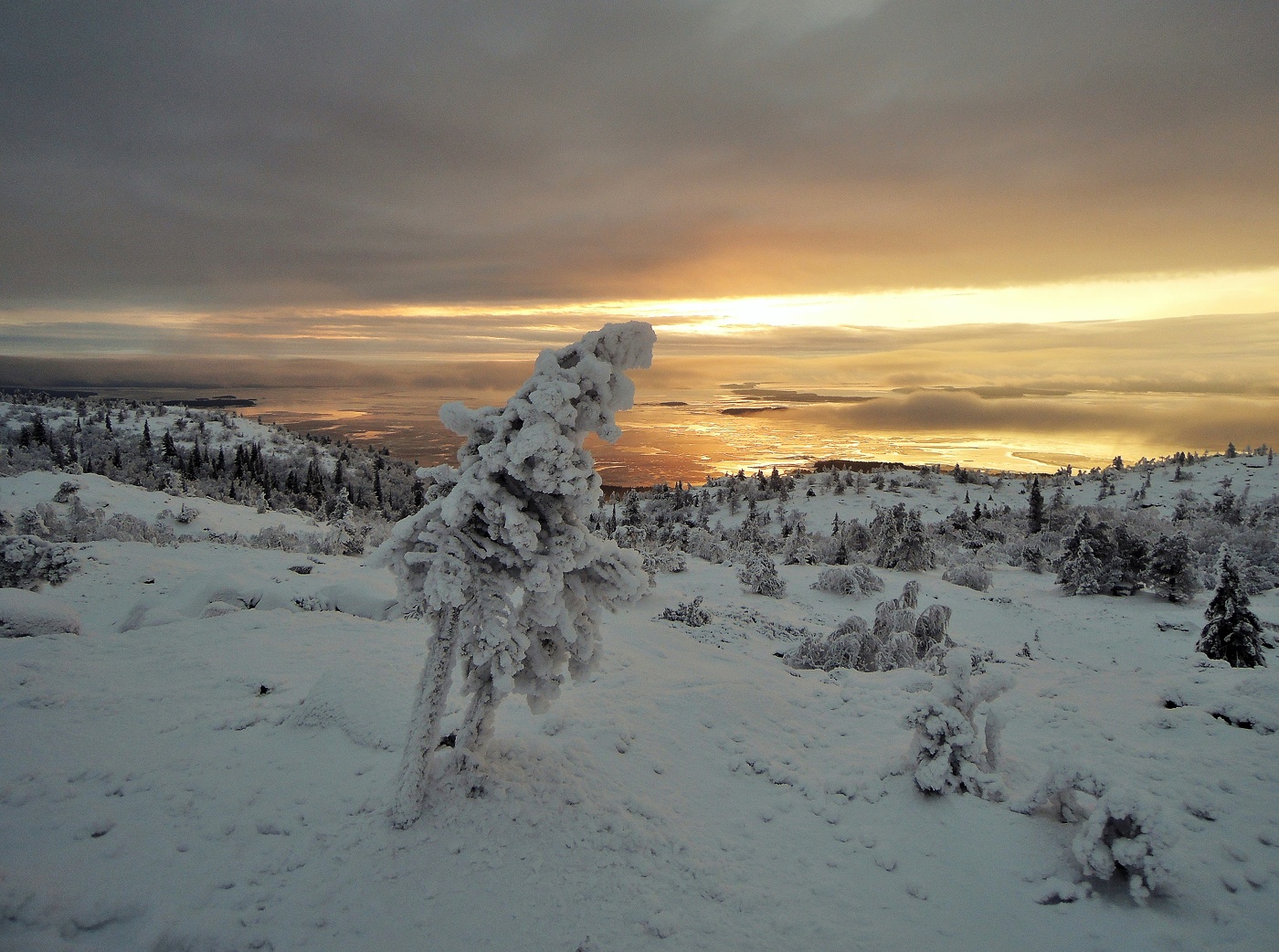 скупое зимнее Солнце